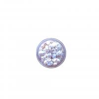 Barock kultivierten Süßwassersee Perlen, Natürliche kultivierte Süßwasserperlen, Natürliche & DIY & kein Loch, weiß, 6mm, verkauft von G