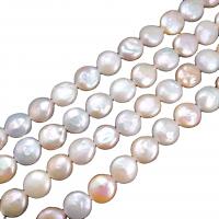 Perlas Botón Freshwater , Perlas cultivadas de agua dulce, Natural & Bricolaje, Blanco, 12-13mm, longitud:34-40 cm, Vendido por Sarta