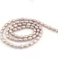 Rice Cultured Freshwater Pearl Beads, natural, DIY 3-4mm Approx 14.96 Inch 