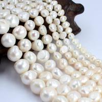 Bouton de culture des perles d'eau douce, perle d'eau douce cultivée, naturel, DIY & normes différentes pour le choix, blanc Environ 14.17 pouce, Vendu par brin