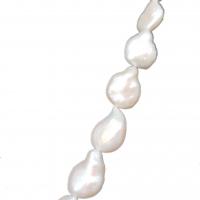 Barock kultivierten Süßwassersee Perlen, Natürliche kultivierte Süßwasserperlen, Natürliche & DIY, weiß, 13-15mm, Länge:35-40 cm, verkauft von Strang