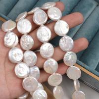 Perlas Botón Freshwater , Perlas cultivadas de agua dulce, Natural & Bricolaje, Blanco, 15-16mm, longitud:39 cm, Vendido por Sarta