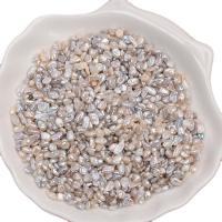 Perlas Freshwater sin Agujero, Perlas cultivadas de agua dulce, Natural & Bricolaje, Blanco, 3mm, 1T/Bolsa, Vendido por Bolsa