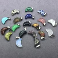 Joyas de piedras preciosas colgante, Piedra natural, Luna, para mujer, más colores para la opción, 12x23mm, Vendido por UD