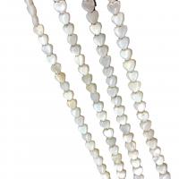 Perles en coquille naturel, coquille d'eau douce, coeur, DIY, blanc, 2-15mm Environ 38 cm, Vendu par brin