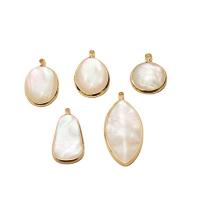 Brass Shell Pendants, with White Shell, gold color plated, DIY 