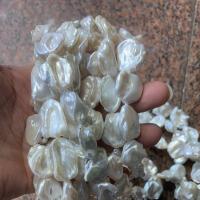 Perles nacres baroques de culture d'eau douce , perle d'eau douce cultivée, DIY, 10~16mm Environ 15 pouce, Vendu par brin
