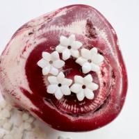 coquille d'eau douce calotte de perle, fleur, gravé, DIY, blanc, 8mm, Vendu par PC