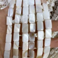 Natural Freshwater Shell Beads, Rectangle, polished, DIY, white Inch 