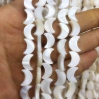 Natural Freshwater Shell Beads, Moon, DIY white Inch 