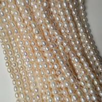 Collier de perles d'eau douce naturelles, perle d'eau douce cultivée, pour femme, blanc, 6-7mm cm, Vendu par PC