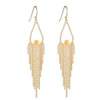 Brass Tassel Earring Findings, 14K gold-filled, fashion jewelry & for woman, gold 