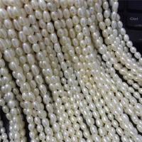 Rice Cultured Freshwater Pearl Beads, DIY, white, 4-5mm 