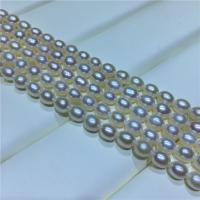 Collier de perles d'eau douce naturelles, perle d'eau douce cultivée, pour femme, blanc, 5-6mm cm, Vendu par PC