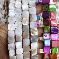 Perles en coquille naturel, coquille d'eau douce, Carré, poli, DIY, plus de couleurs à choisir, 12mm Environ 38 cm, Vendu par brin