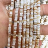 La Perla de Concha Natural, Concha de agua dulce, pulido, Bricolaje, color mixto, 4mm, longitud:aproximado 39 cm, Vendido por Sarta