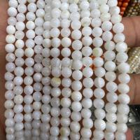 Perles en coquille naturel, coquille d'eau douce, Rond, DIY, blanc Environ 40 cm, Vendu par brin