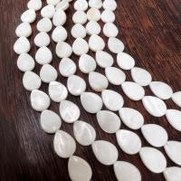 Perles en coquille naturel, coquille d'eau douce, larme, DIY, blanc Environ 40 cm, Vendu par brin
