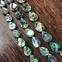 Abalone Shell Beads, Teardrop, DIY, mixed colors Approx 38 cm 