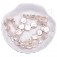 Coin Cultured Freshwater Pearl Beads, DIY, white, 13mm Approx 38 cm 