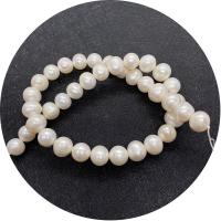Round Cultured Freshwater Pearl Beads, polished, DIY white Approx 14.96 Inch 