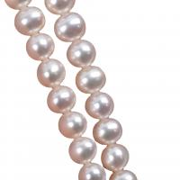 Perlas Redondas Freshwater, Perlas cultivadas de agua dulce, Bricolaje, Blanco, 7-8mm, longitud:36-38 cm, Vendido por Sarta