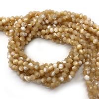 Turbanschnecken Perlen, Trochus Shell, rund, DIY & verschiedene Größen vorhanden & facettierte, Länge:ca. 14.96 ZollInch, verkauft von Strang