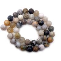 Natural Bamboo Agate Beads, Round, DIY mixed colors Approx 14.96 Inch 