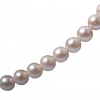 Perlas Redondas Freshwater, Perlas cultivadas de agua dulce, Bricolaje, Blanco, 10-11mm, longitud:39-40 cm, Vendido por Sarta