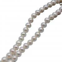 Perlas Redondas Freshwater, Perlas cultivadas de agua dulce, Bricolaje, Blanco, 5-6mm, longitud:36-38 cm, Vendido por Sarta