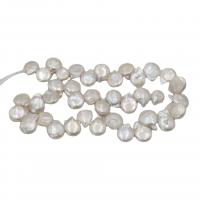 Barock kultivierten Süßwassersee Perlen, Natürliche kultivierte Süßwasserperlen, DIY, weiß, 10x15mm, Länge:ca. 38 cm, ca. 40PCs/Strang, verkauft von Strang