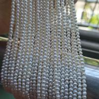 Round Cultured Freshwater Pearl Beads, DIY, white Approx 38 cm 