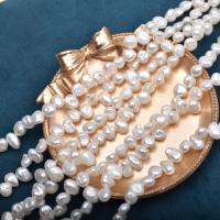 Barock kultivierten Süßwassersee Perlen, Natürliche kultivierte Süßwasserperlen, DIY, weiß, 7-8mm, Länge:36-39 cm, verkauft von Strang