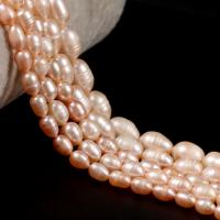 Rice Cultured Freshwater Pearl Beads, DIY, Champagne Approx 38 cm 