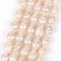 Barock kultivierten Süßwassersee Perlen, Natürliche kultivierte Süßwasserperlen, DIY, weiß, 8x10mm, Länge:ca. 38 cm, 28PCs/Strang, verkauft von Strang