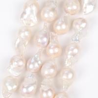 Perles nacres baroques de culture d'eau douce , perle d'eau douce cultivée, DIY, blanc Environ 38 cm Vendu par brin