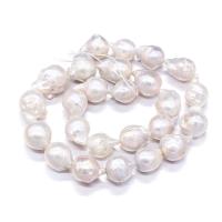 perles nucléées cultivées d'eau douce , perle d'eau douce cultivée, Naturel & DIY, blanc, 12-13mm cm, Vendu par brin