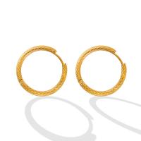 титан Серьги-кольца, Кольцевая форма, вакуумное ионное покрытие, Женский, Много цветов для выбора продается Пара
