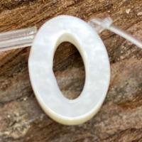 Natural White Shell Beads, Number, DIY white 