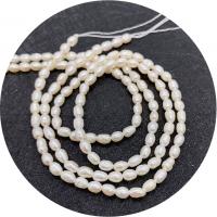 Rice Cultured Freshwater Pearl Beads, polished, DIY white Approx 14.96 Inch 