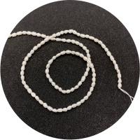 Rice Cultured Freshwater Pearl Beads, polished, DIY, white, 2-3mm Approx 14.96 Inch 