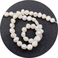 Button Cultured Freshwater Pearl Beads, polished, DIY white Approx 14.96 Inch 