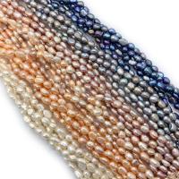 Rice Cultured Freshwater Pearl Beads, irregular, polished, DIY Approx 14.96 Inch 