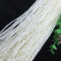 Turbanschnecken Perlen, Trochus Shell, DIY, weiß, Länge:ca. 38 cm, verkauft von Strang