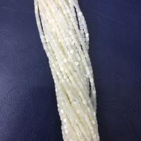 Trochus Shell Perle, poliert, DIY, weiß, 3x3.5mm, Länge:ca. 38 cm, verkauft von Strang