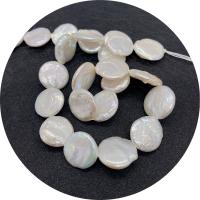 Coin Cultured Freshwater Pearl Beads, Flat Round, polished, DIY, white, 15-16mm Approx 14.96 Inch 
