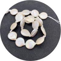 Barock kultivierten Süßwassersee Perlen, Natürliche kultivierte Süßwasserperlen, rund, poliert, DIY, weiß, 15-16mm, Länge:ca. 14.96 ZollInch, verkauft von Strang