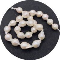 Barock kultivierten Süßwassersee Perlen, Natürliche kultivierte Süßwasserperlen, Unregelmäßige, poliert, DIY, weiß, 12x18-15x20mm, Länge:ca. 14.96 ZollInch, verkauft von Strang