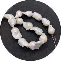 Baroque Cultured Freshwater Pearl Beads, irregular, polished, DIY, white, 17x20- Approx 14.96 Inch 
