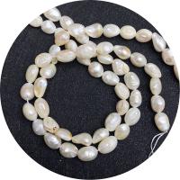 Potato Cultured Freshwater Pearl Beads, irregular, polished, DIY, white, 7-8mm Approx 14.96 Inch 